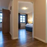 Апартаменты Dreilanden Scandi *