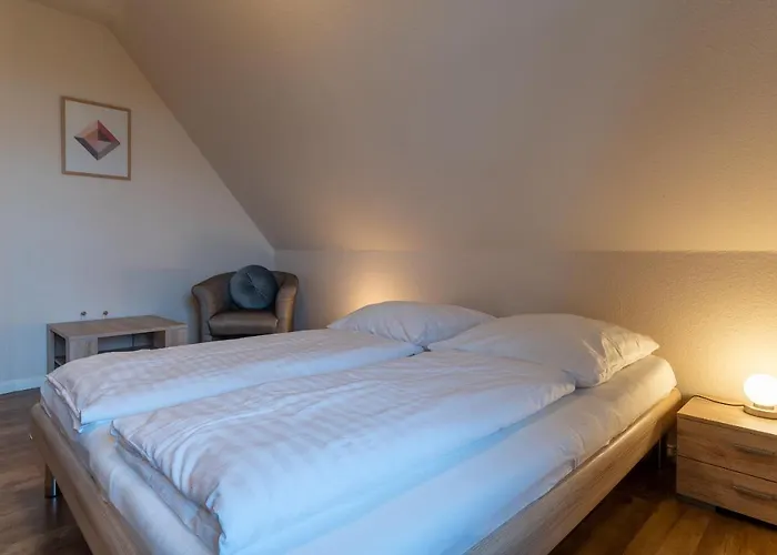 Dreilanden Scandi
